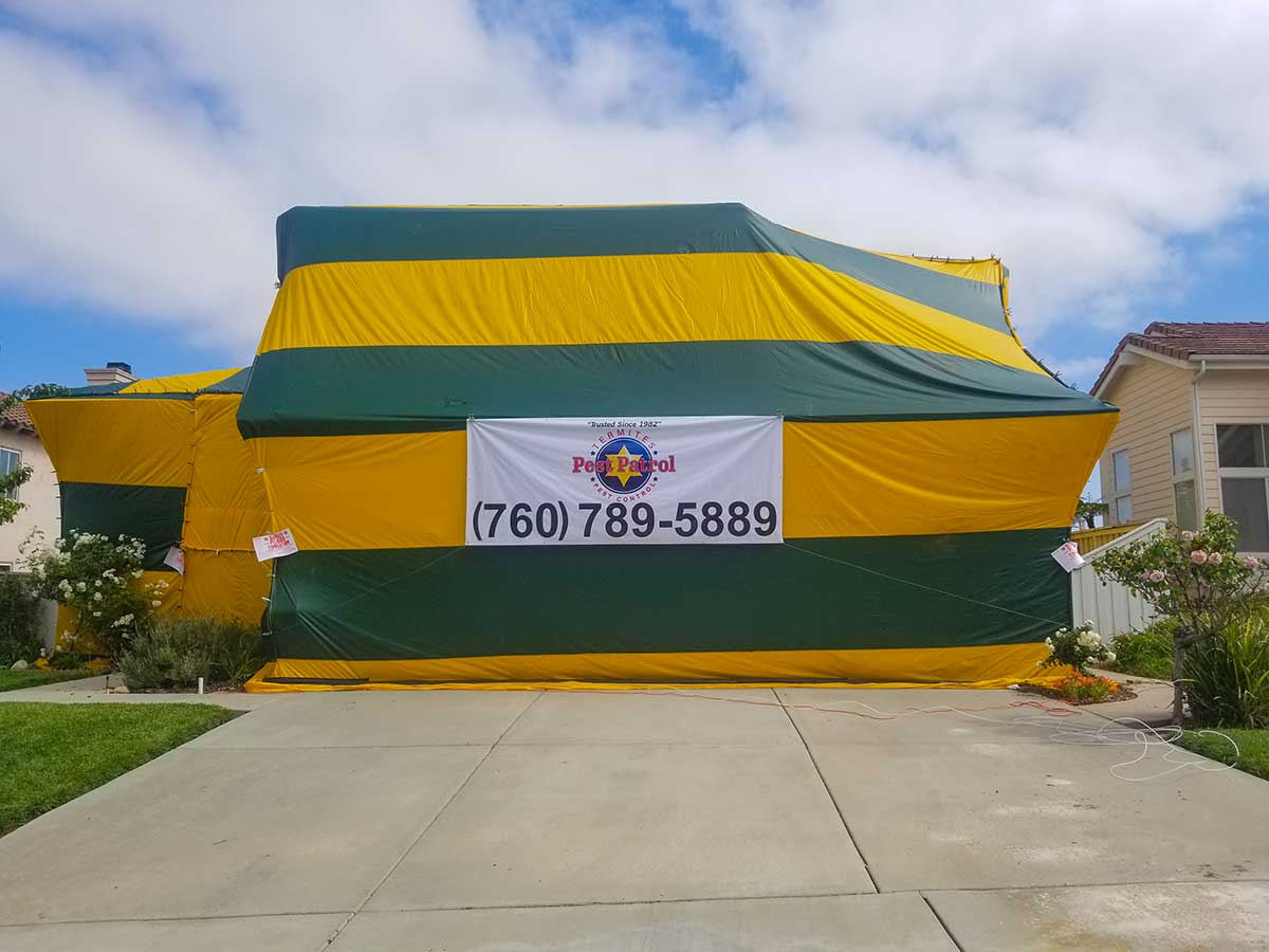 Envirowest Pest's yellow and green termite fumigation tent over a house